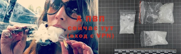 стафф Богородицк