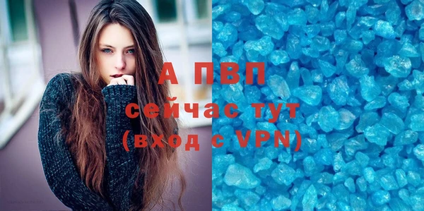 винт Богданович