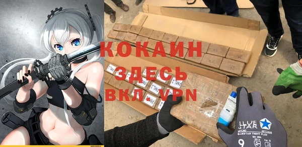 стафф Богородицк